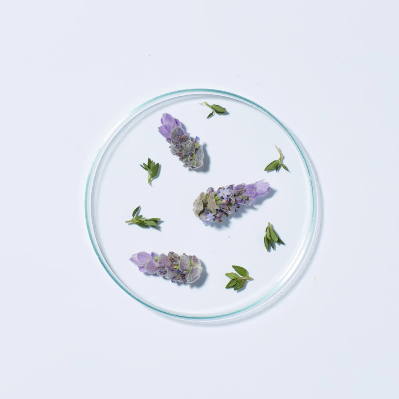 Lavender & Biotin Full Volume Shampoo - Image 3